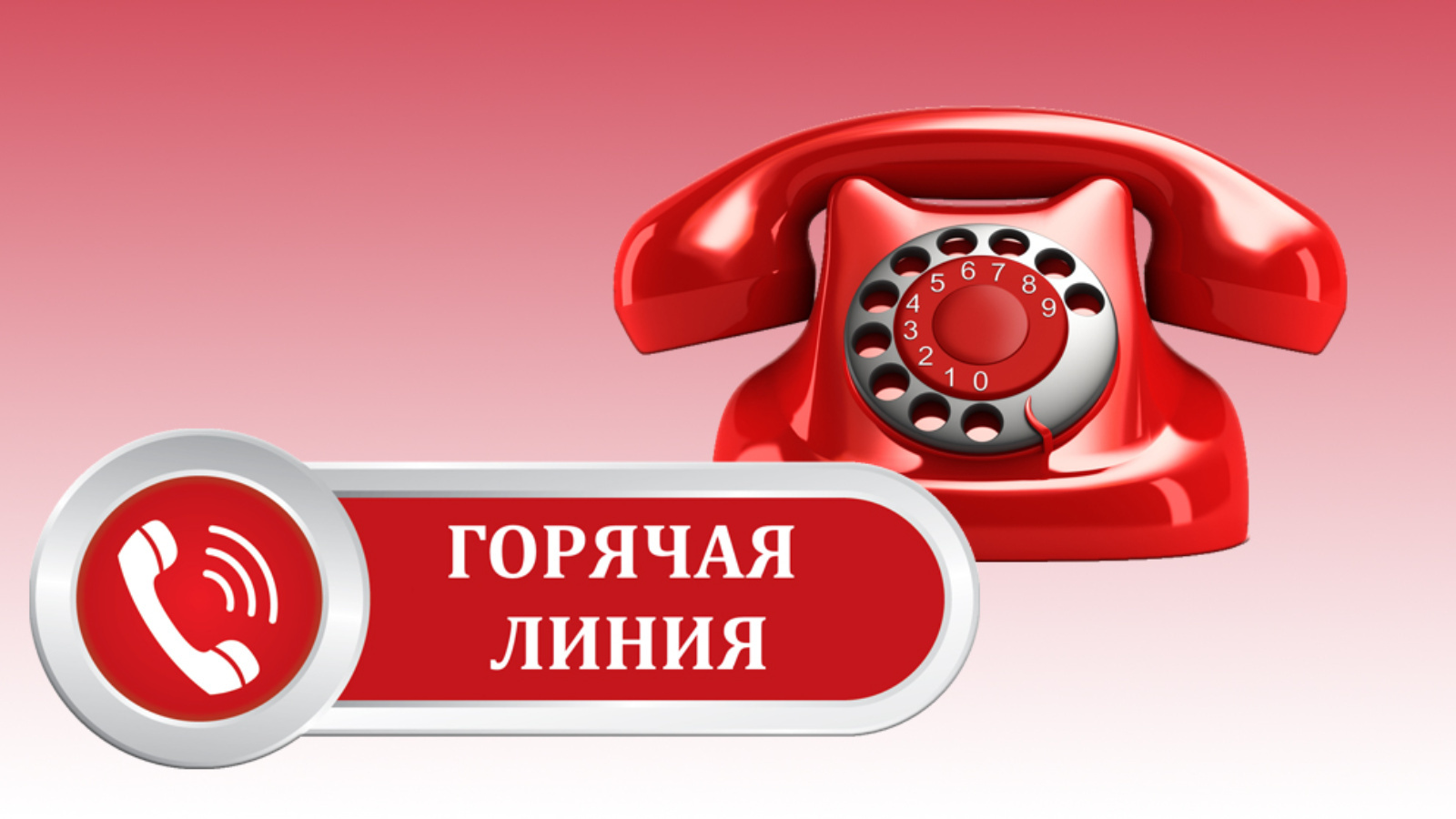 Роспотребнадзор информирует: горячая линия.
