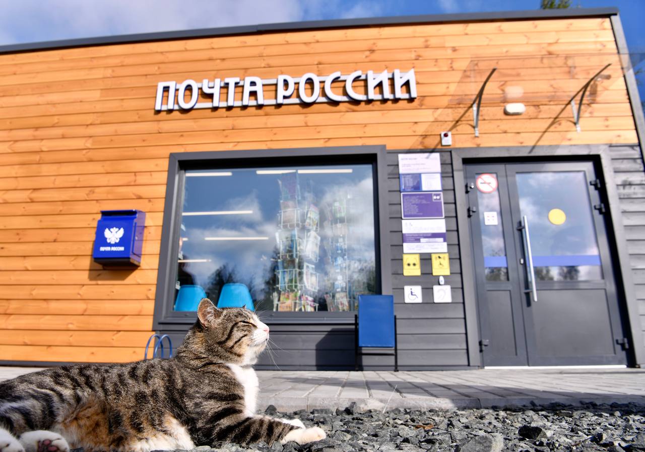 Жители Приморского края могут проголосовать за лучшего «Народного почтальона».
