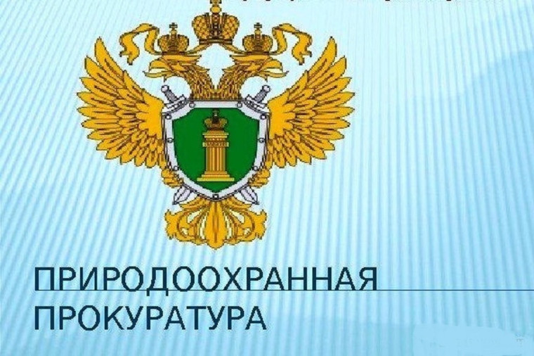 Внесены изменения в Кодекс РФ об административных правонарушениях, касающиеся несоблюдения требований к содержанию домашних животных. Внесены изменения в Кодекс РФ об административных правонарушениях, касающиеся несоблюдения требований к содержанию домашних животных.